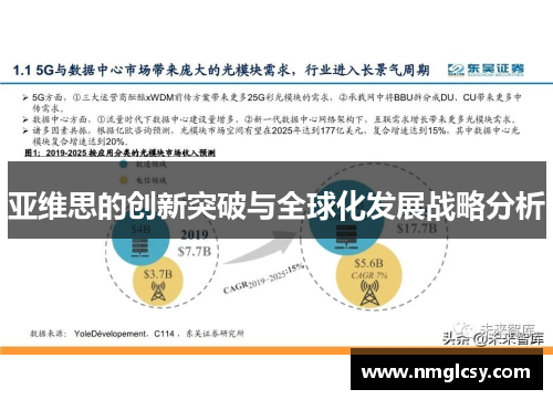 亚维思的创新突破与全球化发展战略分析